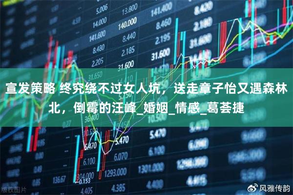宣发策略 终究绕不过女人坑，送走章子怡又遇森林北，倒霉的汪峰_婚姻_情感_葛荟捷