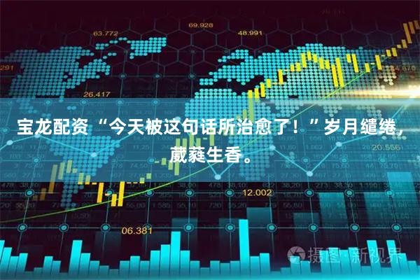 宝龙配资 “今天被这句话所治愈了！”岁月缱绻，葳蕤生香。