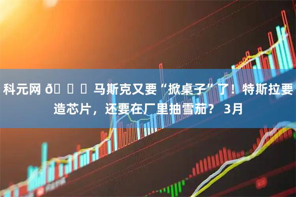 科元网 🚀马斯克又要“掀桌子”了！特斯拉要造芯片，还要在厂里抽雪茄？ 3月
